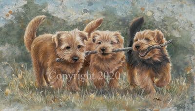 Norfolk Terrier Original Painting 'The Norfolk Branch' by Paul Doyle