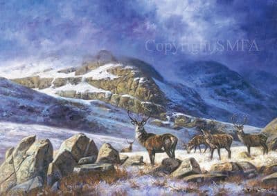 On The Hills' Pack of 10 Red Deer Stag Christmas Cards by John Trickett