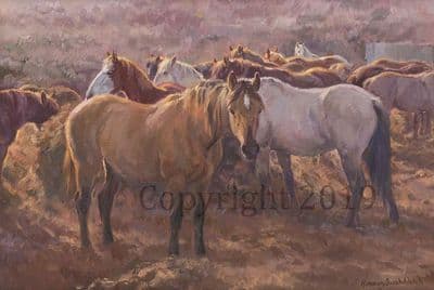 Original Oil Painting 'Quarter Horses' by Rosemary Sarah Welch