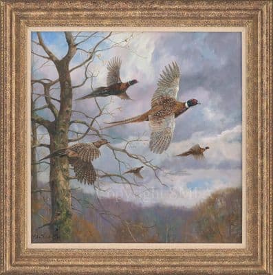 Original Pheasant Painting 'The Fly Past' by John Trickett