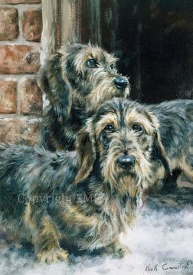 Out in The Cold'Pack of 10  Dachshund Christmas Cards by Mick Cawston C718x