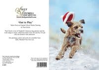 Out to Play' Border Terrier Christmas Cards by Paul Doyle. Pack of 10.