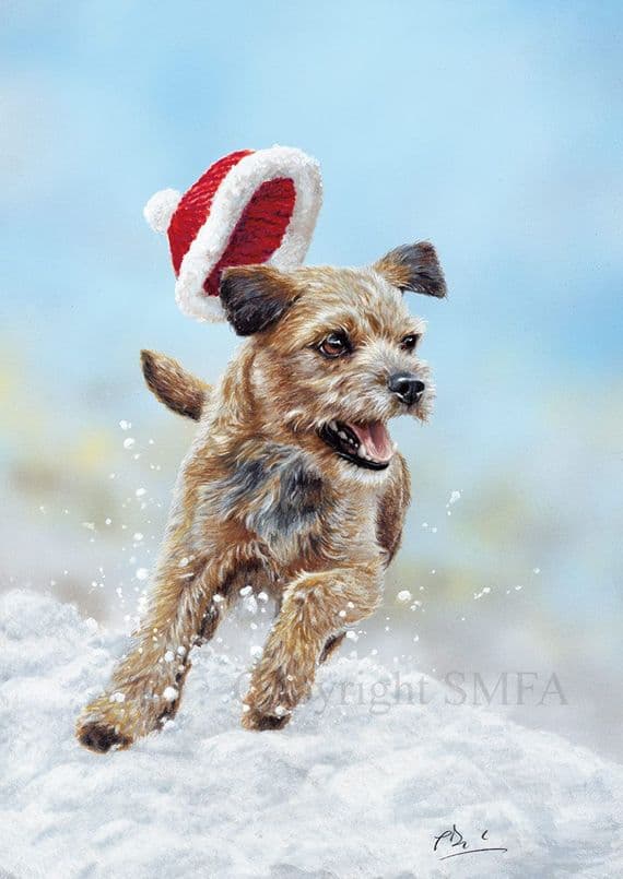 Out to Play' Border Terrier Christmas Cards by Paul Doyle. Pack of 10.