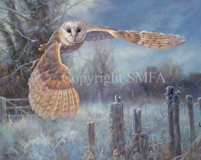 Owl Limited Edition Canvas Print 'Out for Dinner' by John Trickett