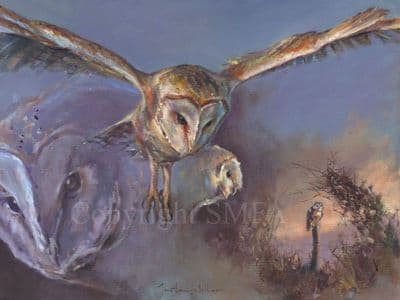 Owl Limited Edition Print 'Nightscape' by Jonathan Walker