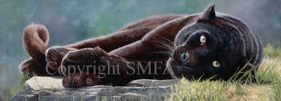 Panther Limited Edition Print 'Dark Knight' by Pip McGarry