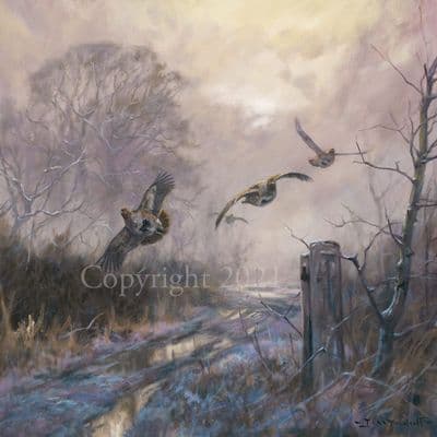 Partridge Limited Edition Print 'Morning Partridge' by John Trickett Limited