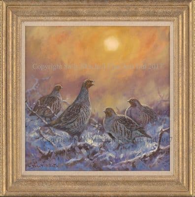 Partridge Original Painting 'Sunset Partridge' by John Trickett