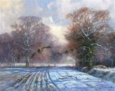 Partridges in the Snow Christmas Cards 'Covey Forward' by John Trickett C505X