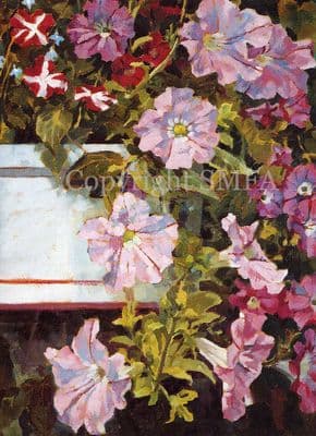 Petunia Flower Blank Greetings Card 'Petunia' by Peter Searle B152