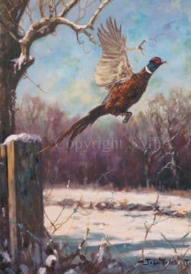 Pheasant Card 'Cock Up' by John Trickett