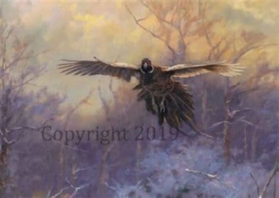 Pheasant in the Snow Christmas Cards 'Dusk' by John Trickett C593X