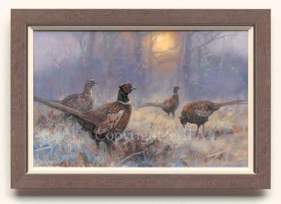 Pheasant  Limited Edition Canvas Print 'The Breakfast Club' by John Trickett
