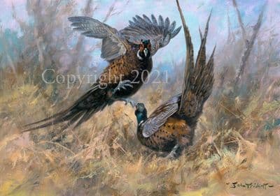 Pheasant  Limited Edition Print  'Featherweights' by John Trickett