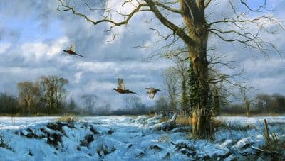 Pheasant Limited Edition Print 'Finest View' by John Trickett