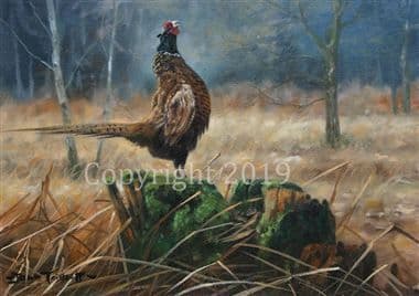 Pheasant Limited Edition Print 'Standing Proud' by John Trickett