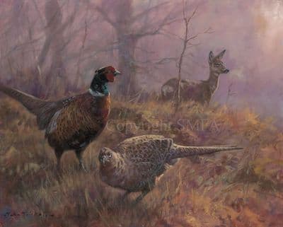 Pheasant Roe Deer Limited Edition Canvas Print 'A Moment of Quiet' by John Trickett