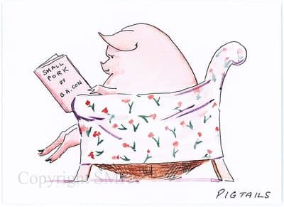Pig Funny Blank Greetings Card 'Pigtails' by Malcolm Coward M018