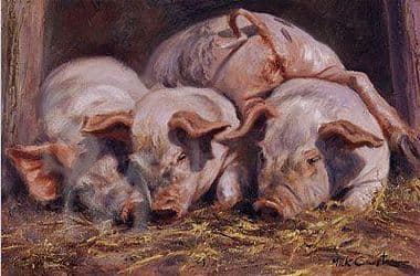 Pig Open Edition Print 'Bottoms Up' by Mick Cawston