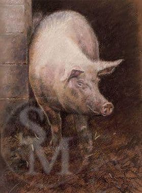 Pig Original Pastel 'Porker' by Debbie Gillingham