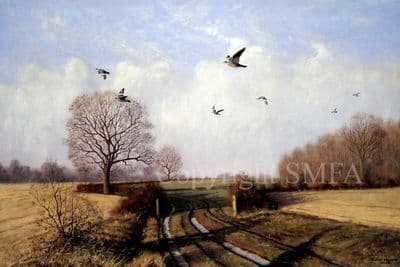 Pigeon Shooting Limited Edition Print 'Pigeon Over The Track' by Julian Novorol