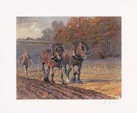 Ploughing Limited Edition Print 'Autumn Furrows' by Malcolm Coward