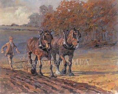 Ploughing Limited Edition Print 'Autumn Furrows' by Malcolm Coward