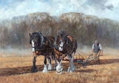 Ploughing Limited Edition Print 'In Days Gone By' by JohnTrickett