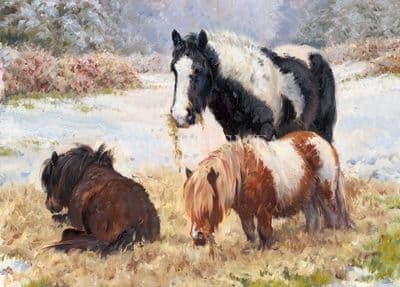Pony Horse Blank Greetings Card 'Ponies' by Rosemary Welch C663