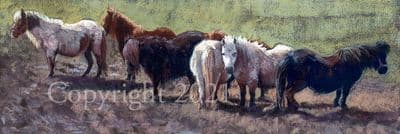 Pony Limited Edition Print 'Mud, Glorious Mud' by Lesley Stanley