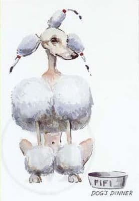 Poodle Funny Blank Greetings Card  'Dog Dinner' by Malcolm Coward M038