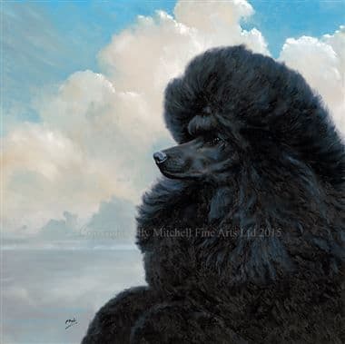 Poodle Limited Edition Print 'Afterglow Ricky' by Paul Doyle