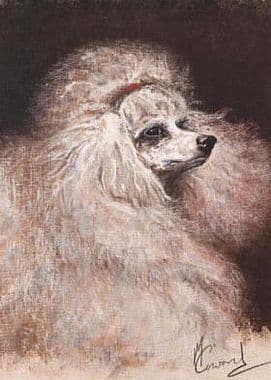 Poodle Limited Edition Print 'French Mistress' by Malcolm Coward