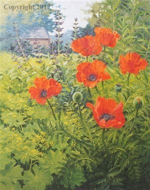 Poppy Limited Edition Print 'Poppies' by Richard Tratt