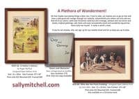 Prints, Cards and Christmas cards 2025