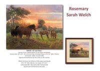Prints, Cards and Christmas cards 2025
