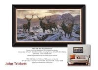 Prints, Cards and Christmas cards 2025