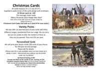 Prints, Cards and Christmas cards 2025