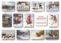 Prints, Cards and Christmas cards 2025