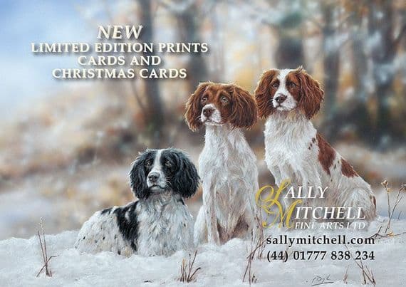 Prints, Cards and Christmas cards 2025