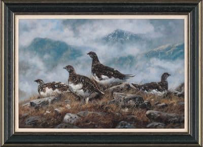 Ptarmigan Limited Edition Canvas Print 'Ptarmigan' by John Trickett