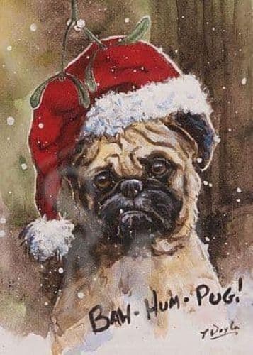 Pug Christmas Cards Bah Hum Pug by Paul Doyle C416X