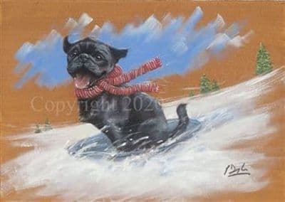 Pug Pack of 10 Christmas Cards 'Pugaroo' by Paul Doyle C609X