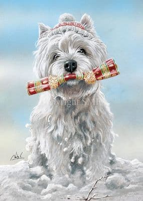 Pull the Other One' Westie Christmas card by Paul Doyle C711x