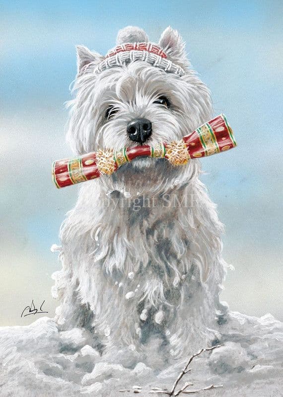 Pull the Other One' Westie Christmas card by Paul Doyle C711x