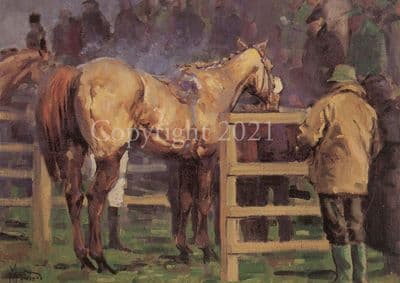 Race Horse Greetings Card  'The Unsaddling Enclosure'  by Malcolm Coward C67