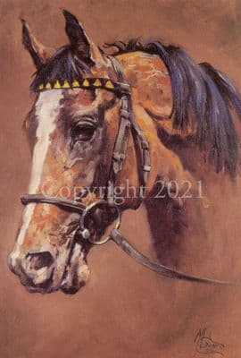 Racehorse Blank Greetings Card One of the Best by Malcolm Coward B73