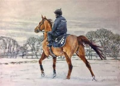 Racehorse in the Snow Christmas Cards 'Frozen Fingers!' by Jane Braithwaite C591X