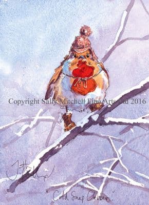 Robin Humorous Christmas Cards 'Cold Snap Clobber' by Jonathan Walker C418X