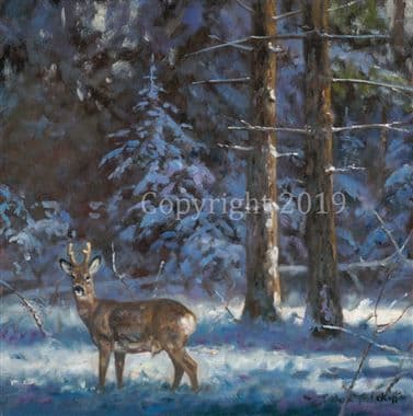 Roe Original Oil Painting 'Midnight' by John Trickett